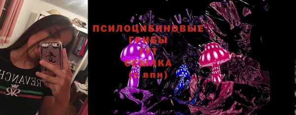 марки lsd Богданович