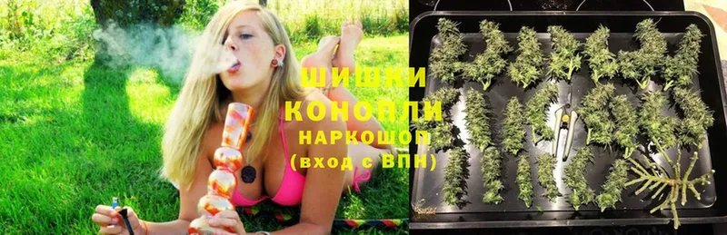 Шишки марихуана OG Kush  blacksprut зеркало  Тихвин 